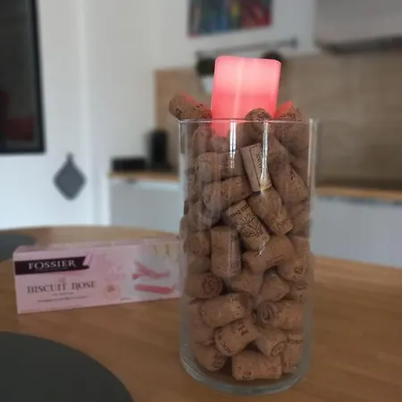 Wifi, Fraicheur, Jacuzzi, Sauna, Billard, Sport Épernay